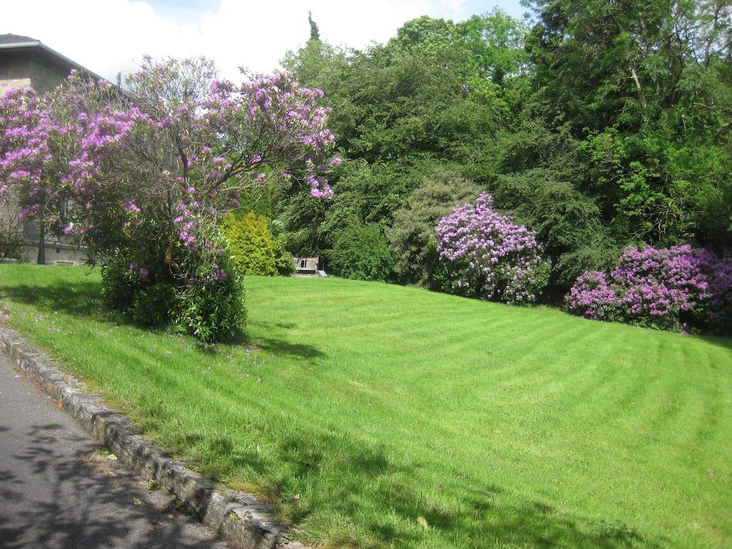 Guest house Glebe House 3*